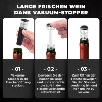 Weinkühler Set Flaschenkühler + Dekanter 3-in-1