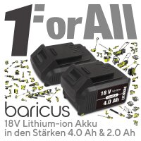 BARICUS 18V Fugenkratzer inkl. 2 Bürstenräder Größenanpassung #1