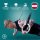 C1 BeMaxx Turnringe Holz Gym Rings + Türanker Holzturnringe Gymnastikringe