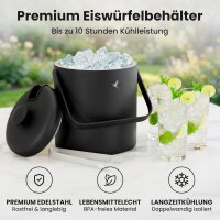 Beyond Schwarzer Eiswürfelbehälter mit Deckel und Zange