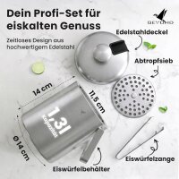 Beyond Silberner Eiswürfelbehälter mit Deckel und Zange
