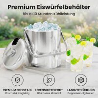 Beyond Silberner Eiswürfelbehälter mit Deckel und Zange
