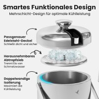 Beyond Silberner Eiswürfelbehälter mit Deckel und Zange