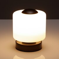LUMIDA Looks LED-Tischleuchte – Glas-Lampenschirm,...